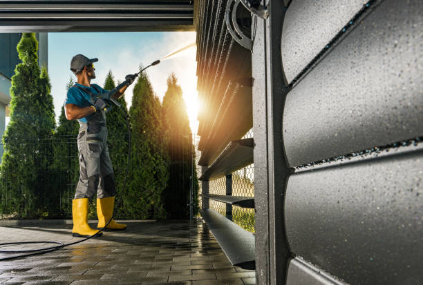 Best Sidewalk and Walkway Cleaning  in Wayland, MI
