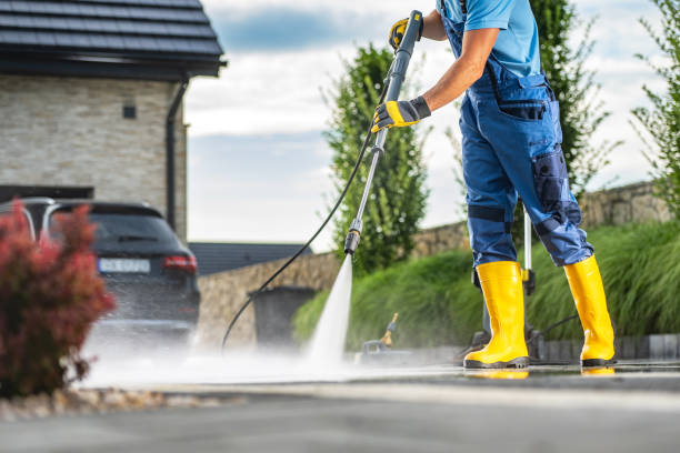 Best Solar Panel Cleaning  in Wayland, MI